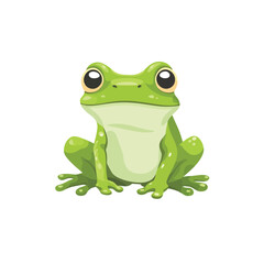 green frog isolated on white