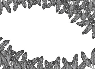 Black and white feather background with copy space © Rafael