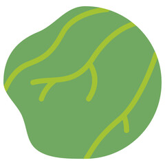 cabbage flat icon