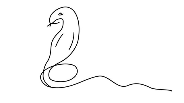 animation of a continuous drawing of a snake observation with one line.