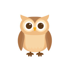 Fototapeta premium owl on a branch