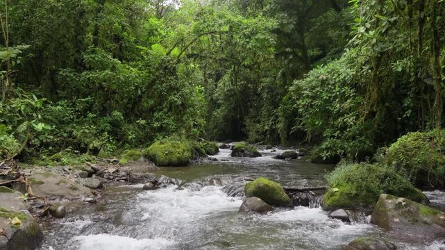 R&iacute;o rodeado de mucha vegetacion en un dia nublado de invierno en el bosque tropical en la monta&ntilde;a de Costa Rica