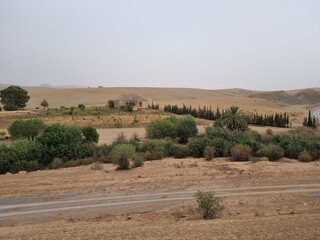 Fototapeta premium Small country house with plants, palm trees and cloudy weather in Algeria Tiaret