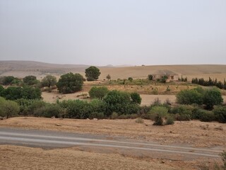 Fototapeta premium Small country house with plants, palm trees and cloudy weather in Algeria Tiaret