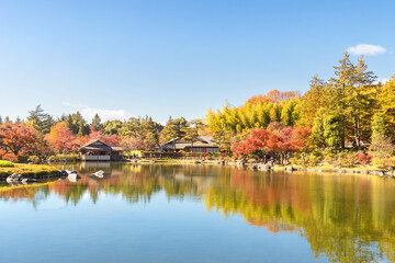 View of autumn season garden with pond and relfection at Showa Memorial park with blue sky