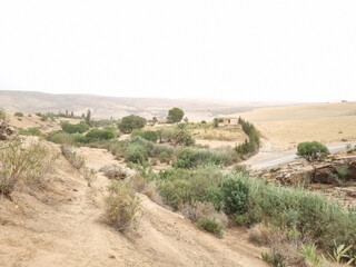Small country house with plants, palm trees and cloudy weather in Algeria Tiaret