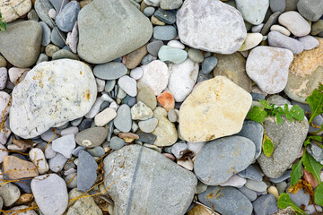 Assortment of variously sized an colored stones on a beach shoreline.