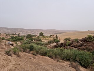 Small country house with plants, palm trees and cloudy weather in Algeria Tiaret