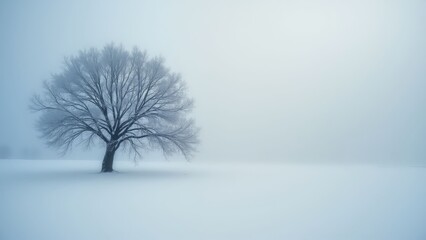 Fototapeta premium Solitary Tree in Winter Mist