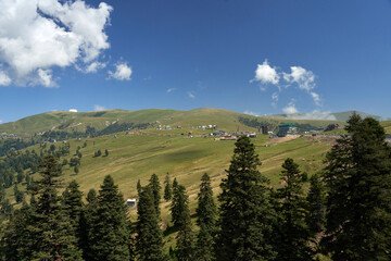 Obraz premium forest in the mountains