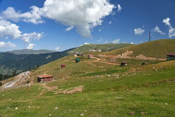 Obraz premium alpine meadow in the mountains
