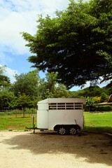 Car for transporting horse is parking under big tree