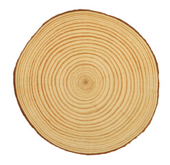 Perfect rings on wooden log cross section isolated on white background. Natural wood concept