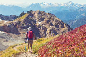 Mt Baker Area