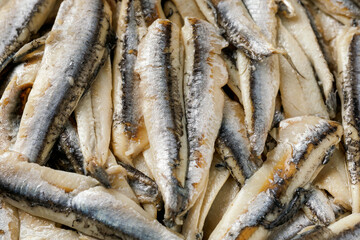 Close up marinated white anchovies in vinegar. Background