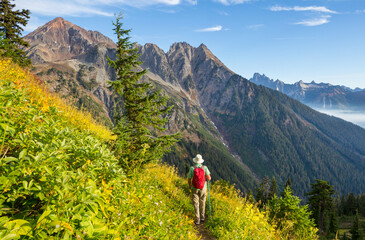 Mt Baker Area