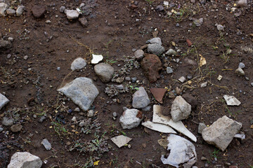 Stones and grass grow in fertile soil