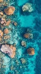 Obraz premium Aerial View of Shallow Coral Reefs in Turquoise Water