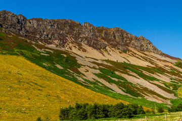 Summer day, cliffs and scree, mountain side.