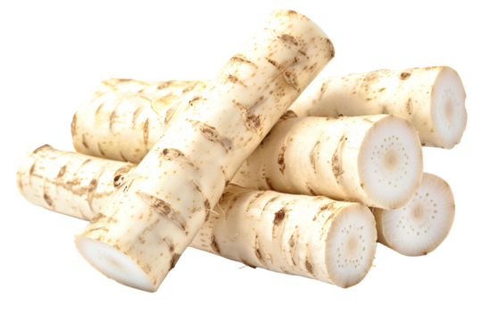 The natural elegance of freshly dug horseradish roots captivates the eye with their rough, textured surfaces and creamy white interiors, inviting culinary creativity.