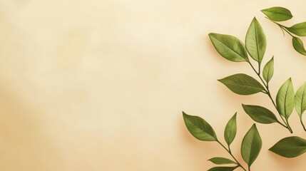 A soft beige background with a green leaves