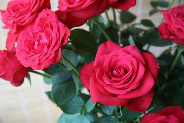 Bouquet of red garden roses.Close-up. Blurred floral background
