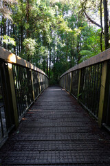 Wooden bridge with green tree landscape.