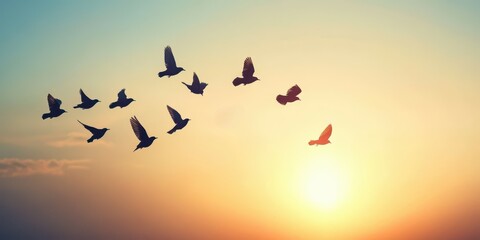 Obraz premium A stunning sunset with birds flying in formation, symbolizing freedom and tranquility in nature's beauty.