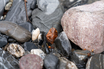 stones on the beach