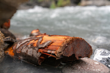 Wood in River
