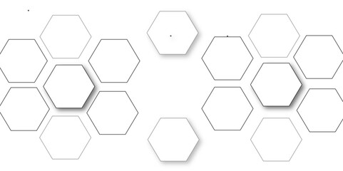 White hexagon 3D background texture. modern abstract polygonal pattern. 3d rendering illustration. Futuristic abstract banner. white and black lines 3d Hexagonal. honeycomb white Background.