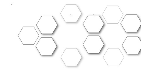 White hexagon 3D background texture. modern abstract polygonal pattern. 3d rendering illustration. Futuristic abstract banner. white and black lines 3d Hexagonal. honeycomb white Background.