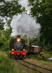 Obraz premium Vintage museum steam train approaching through green forest.