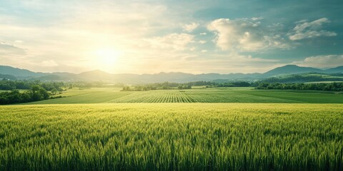 Obraz premium A breathtaking view of a vast field at sunrise, showcasing lush greenery under a bright sky and distant mountains.