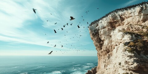 A serene coastal scene with birds soaring above a rugged cliff against a clear blue sky and sparkling ocean waves below.