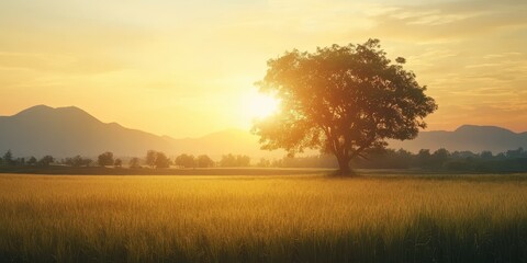 Fototapeta premium A serene landscape featuring a majestic tree at sunset, surrounded by golden fields and distant mountains creating a tranquil scene.