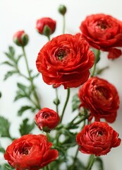 A bouquet of vibrant red roses with green stems and leaves, arranged against a white background.