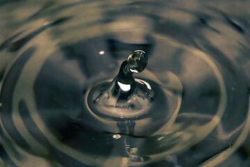 A drop of water making a splash. Macro photo.