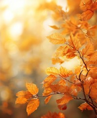 A close-up view of vibrant orange autumn leaves on a branch, with a blurred background of warm, golden light.