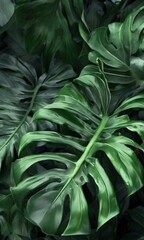 Obraz premium a close-up view of a large, green leaf with a serrated edge, surrounded by other similar leaves.