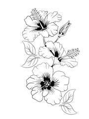 red flower with green grass