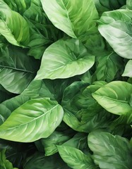 a close-up view of a dense collection of large, vibrant green leaves, likely from a tropical plant, arranged in a visually striking pattern.
