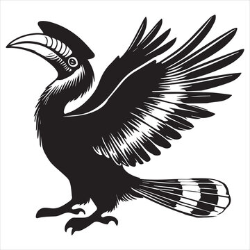 black hornbill bird wearing hat clip art preview