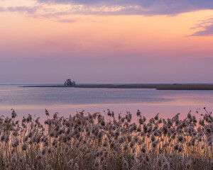 pink sunset on the beach