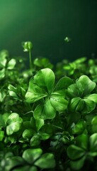 A close-up view of a lush green clover plant with its distinctive four-leaf clover in full bloom, set against a dark green background.