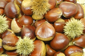 山盛りの美味しそうな栗