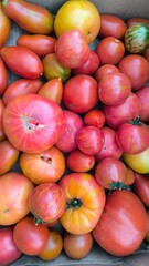 photo of home tomatoes