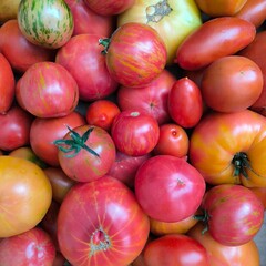 photo of home tomatoes