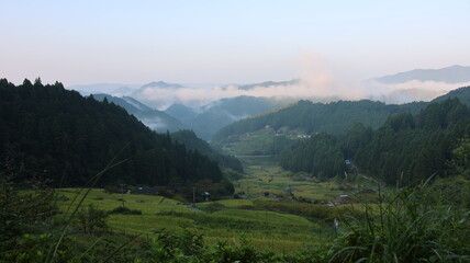 四谷千枚田、夏の早朝の風景