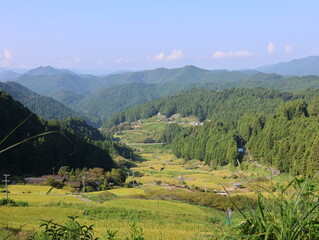 四谷千枚田、夏の早朝の風景